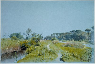 Castel Fusano—In der Nähe von Rom von William Stanley Haseltine