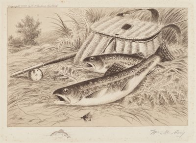Ein guter Fang von William de la Montagne Cary