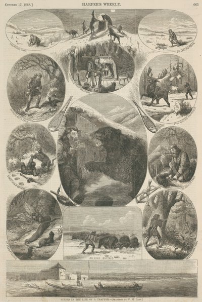 Szenen aus dem Leben eines Fallenstellers, aus 