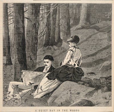 Ein ruhiger Tag im Wald, aus Appletons
