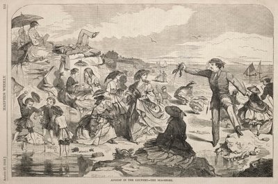 August auf dem Land - Die Küste von Winslow Homer