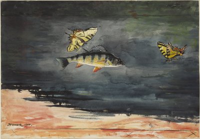 Fische und Schmetterlinge von Winslow Homer