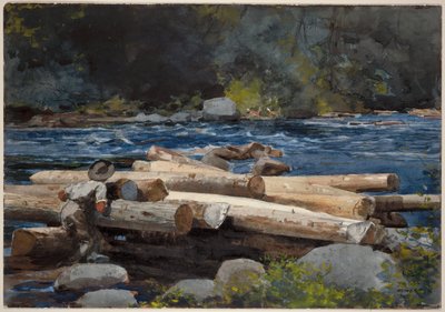Hudson River von Winslow Homer