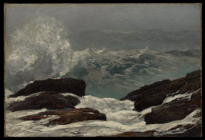 Küste von Maine von Winslow Homer