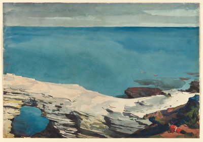 Natürliche Brücke, Bermuda von Winslow Homer