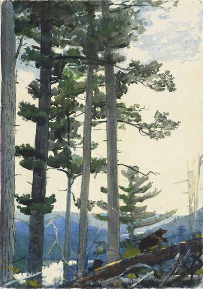 Alte Siedler von Winslow Homer