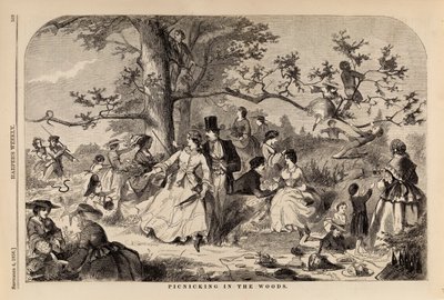 Picknick im Wald, aus Harper