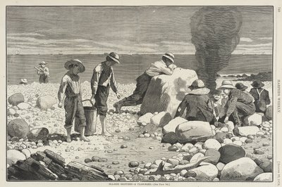 Skizzen am Meer - Ein Muschelbacken von Winslow Homer