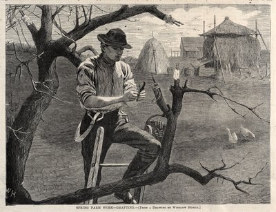 Frühjahrsarbeiten auf dem Bauernhof - Veredelung von Winslow Homer