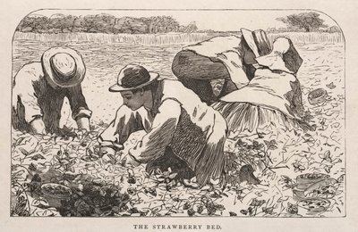 Das Erdbeerbeet von Winslow Homer