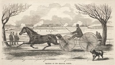 Trab auf dem Mühlendamm, Boston von Winslow Homer
