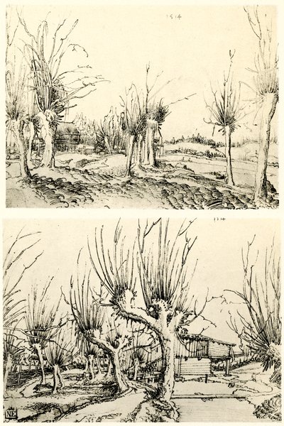 Landschaften mit Weidenbäumen von Wolf Huber