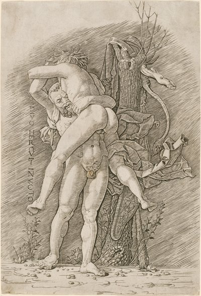 Herkules und Antäus von Workshop of Andrea Mantegna