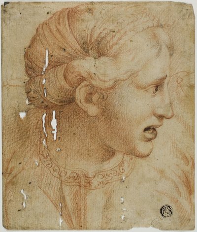 Weiblicher Kopf im Profil, nach rechts blickend von Workshop of Raphael