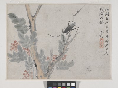 Insekt und Baum nach Shen Zhou von Wu Wang