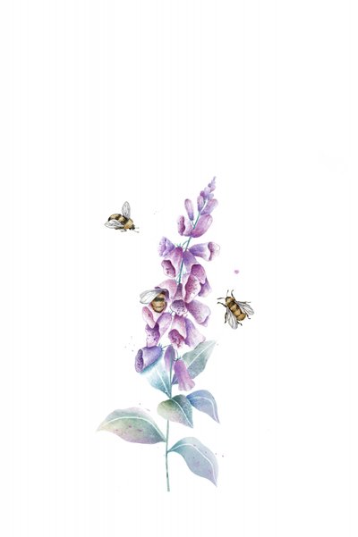 Aquarell Bienen und Blüten von Xuan Thai