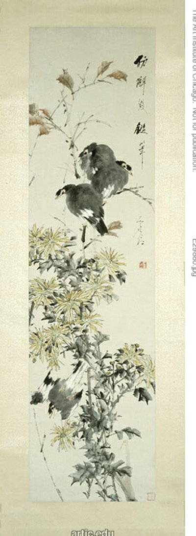 Haubenmainas und Chrysanthemen von Xugu