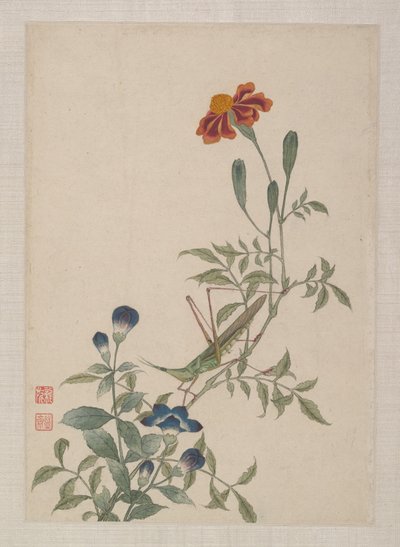 Vögel, Insekten und Blumen von Zhai Yi