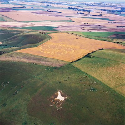 Kornkreis im Weizenfeld, Milk Hill, Alton Priors, Vale of Pewsey, Wiltshire von Ferdinand Georg Waldmuller
