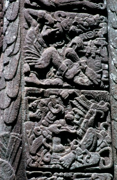 Hieroglyphen auf Stela D in Quirigua, Izabal, Guatemala, Spätklassische Periode, ca. 600-900 n. Chr. (Foto) von Hippolyte Lalaise Devéria