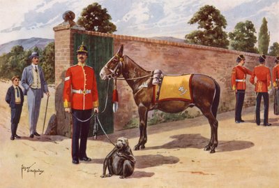 Das Haustier-Maultier und der Affe des Middlesex Regiments von after Edgar Alfred Holloway