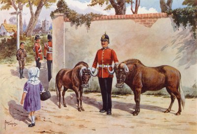 Gnus (oder Weißschwanz-Gnus), Haustiere der South Wales Borderers von after Edgar Alfred Holloway