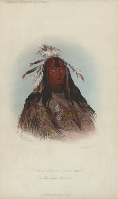 H?co-a-h?co-a-h?cotes-min, Ein Flachkopf-Krieger (Aquatinta) von after George Catlin
