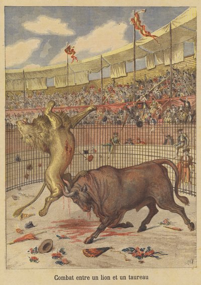 Kampf zwischen einem Löwen und einem Stier von after Henri Meyer