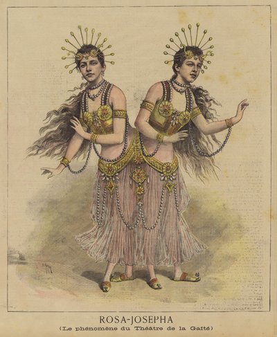Siamesische Zwillinge von after Henri Meyer