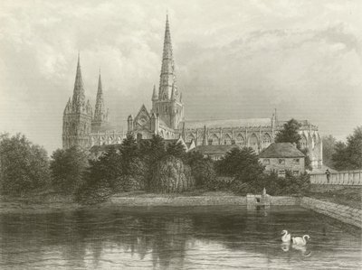 Lichfield Cathedral von Henry after Warren
