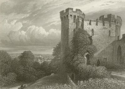 Stafford, vom Schloss aus von Henry after Warren