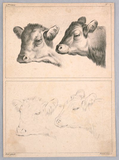 Zwei Kuhköpfe, Platte Nr. 2 aus dem 12me Cahier d