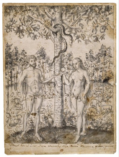 Der Sündenfall von after Lucas Cranach the Younger
