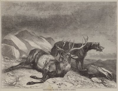 Hirschjagd, der sterbende Hirsch von after Richard Ansdell