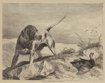 Verwundetes Moorhuhn von after Richard Ansdell