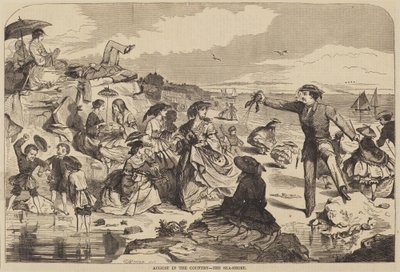 August auf dem Land - Die Küste von after Winslow Homer