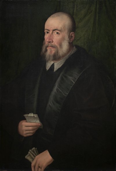 Porträt eines alten Mannes von attributed to Giulio Campi