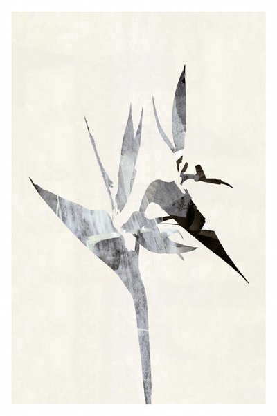 Abstrakter Paradiesvogel von cartissi