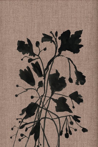 Schwarze Botanische Silhouetten von cartissi