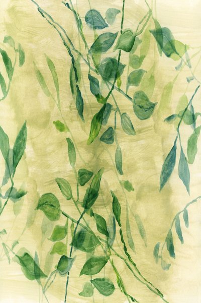 Sanfter botanischer Fluss von cartissi