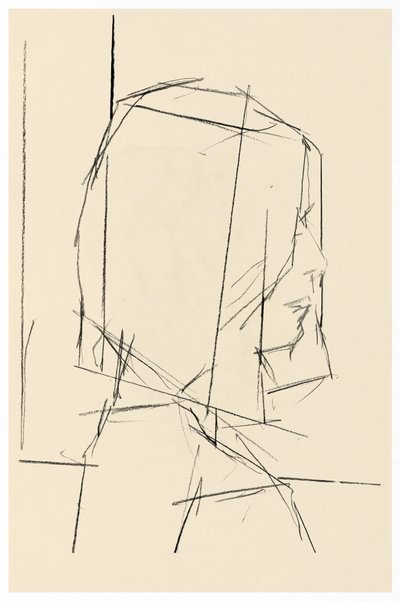 Geometrische Profilstudie von cartissi