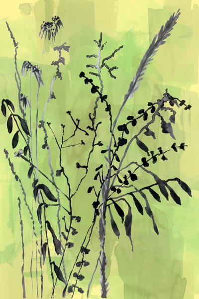 Grüne botanische Silhouetten von cartissi