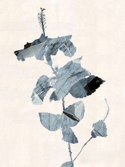Hibiskusblüte Abstrakt von cartissi