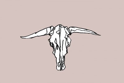 Minimalistischer Longhorn-Schädel von cartissi