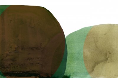 Organische erdige Formen von cartissi