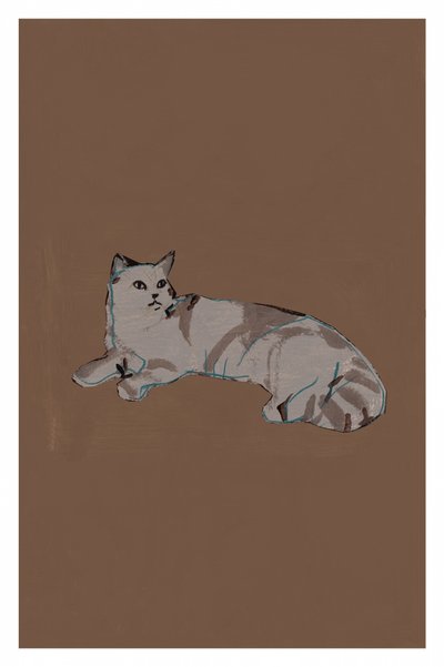 Entspannte graue Katze von cartissi