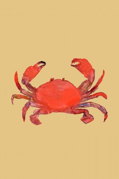 Lebendiger Roter Krebs von cartissi
