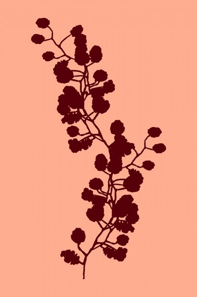 Warme botanische Silhouette von cartissi