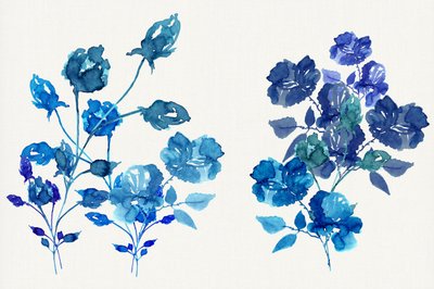 Aquarell blaue Blüten von cartissi