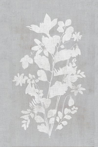 Weiße Blumensilhouette von cartissi
